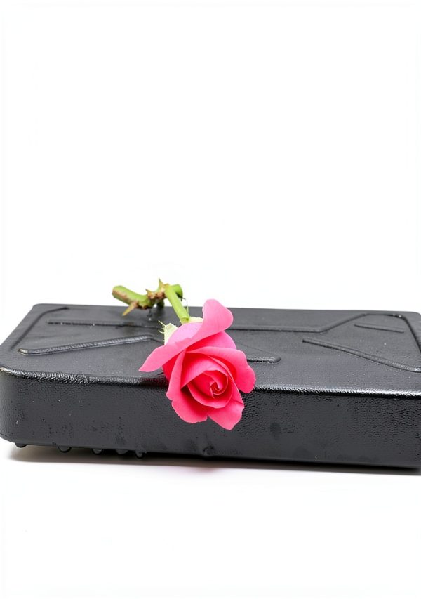 French Young Adult Kindle eBook 301 Pages Accessible Format-0